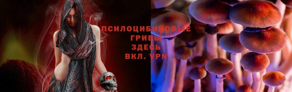 PSILOCYBIN Абдулино